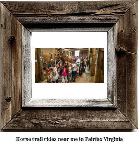 horse trail rides near me in Fairfax, Virginia